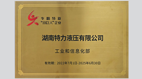 國(guó)家級(jí)專精特新“小巨人”企業(yè)